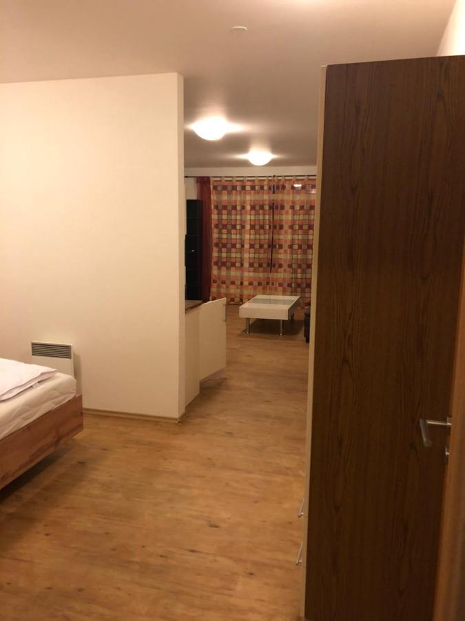 L&B Lake View Modern Apartment Lipno nad Vltavou Εξωτερικό φωτογραφία