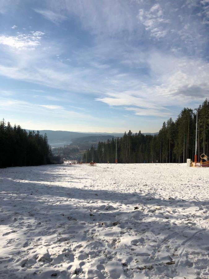 L&B Lake View Modern Apartment Lipno nad Vltavou Εξωτερικό φωτογραφία