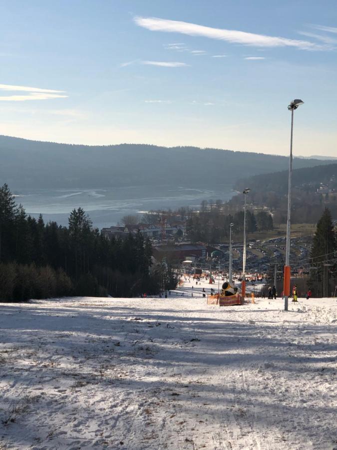 L&B Lake View Modern Apartment Lipno nad Vltavou Εξωτερικό φωτογραφία