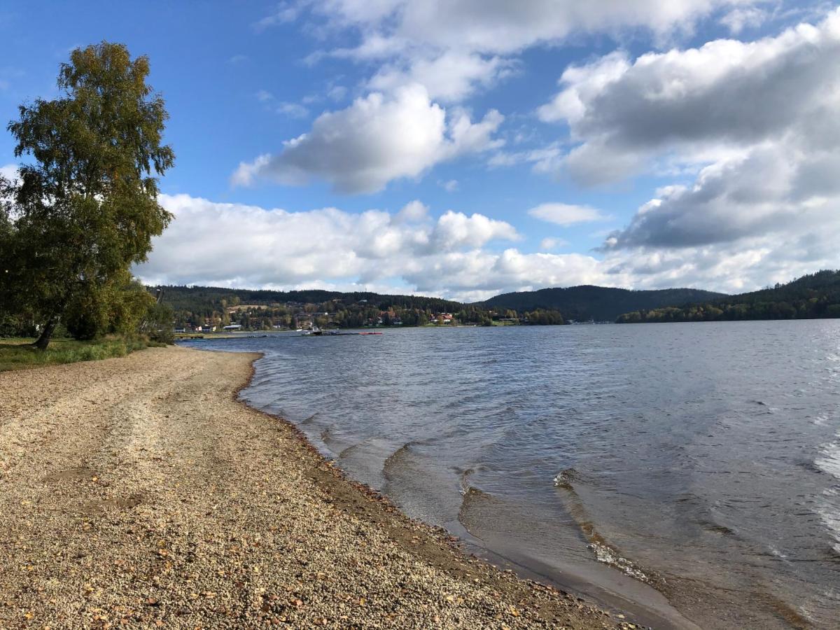 L&B Lake View Modern Apartment Lipno nad Vltavou Εξωτερικό φωτογραφία
